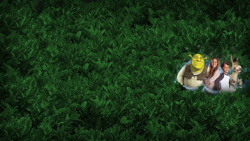 Shrek's Adventure