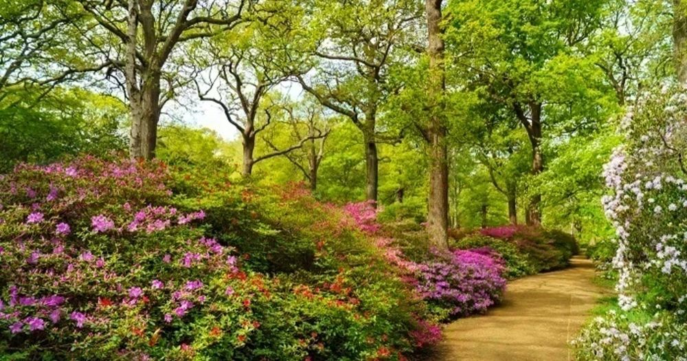 Richmond Park
