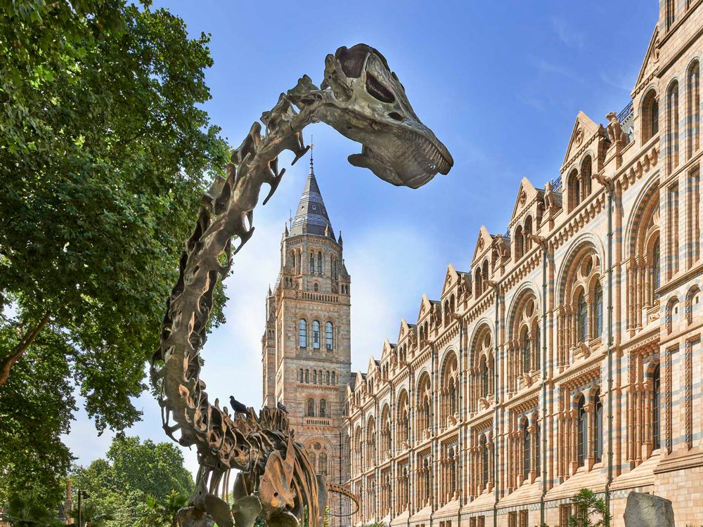 Natural History Museum